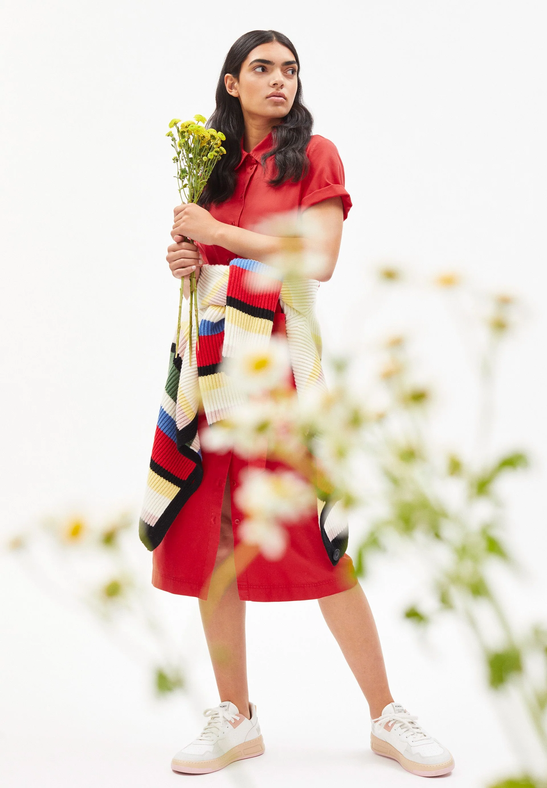 MAARET | dark poppy - Image 4