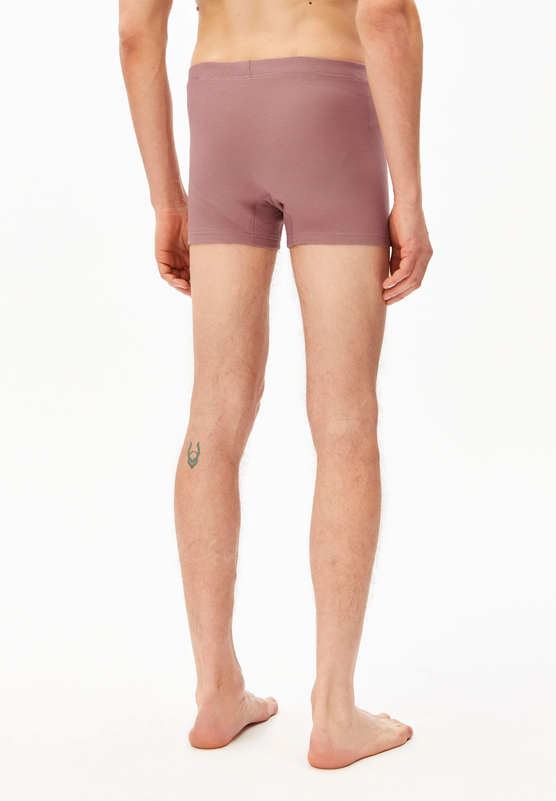 RICAARD RIPP-BOXERBRIEF | light berry - Image 2